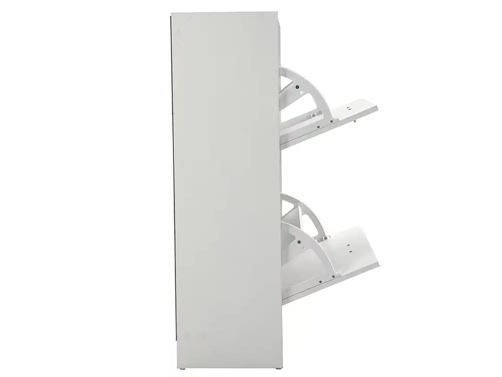 Modern Shoe Storage Cabinet