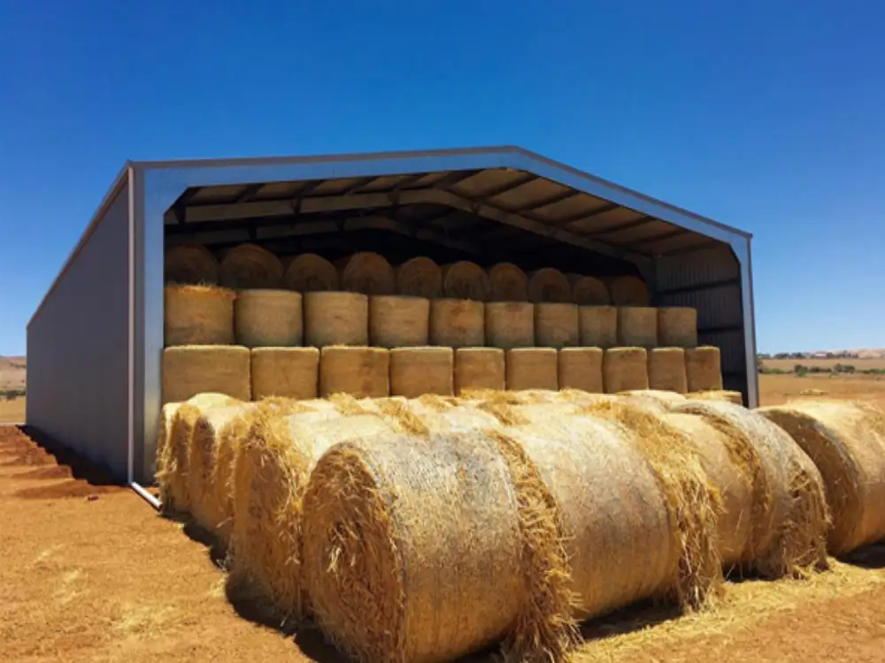 Large Span Hay Storage Steel Building