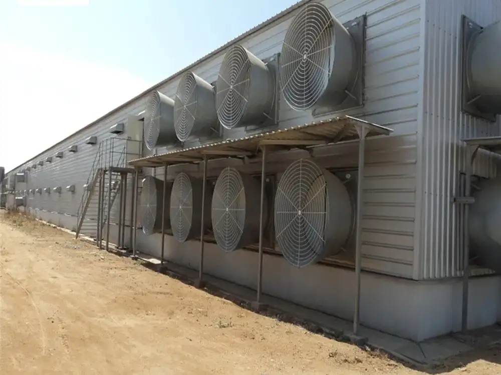 Steel Structure Poultry House